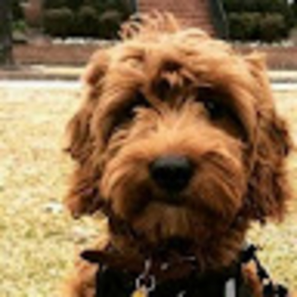 Meet your Posher, Ruby